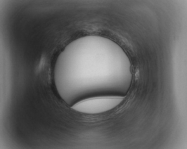 X0000102261156200807250832