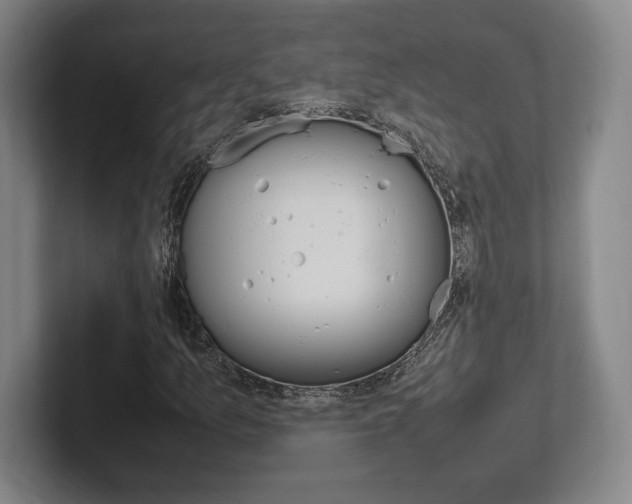 X0000102261157200807250832
