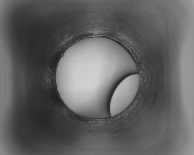 X0000102261158200807250832