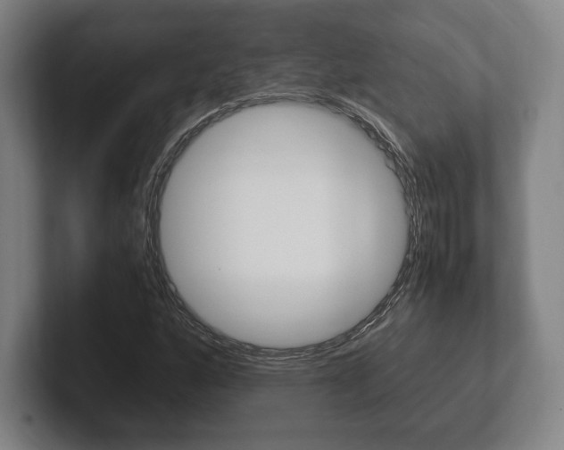 X0000102261160200807250832