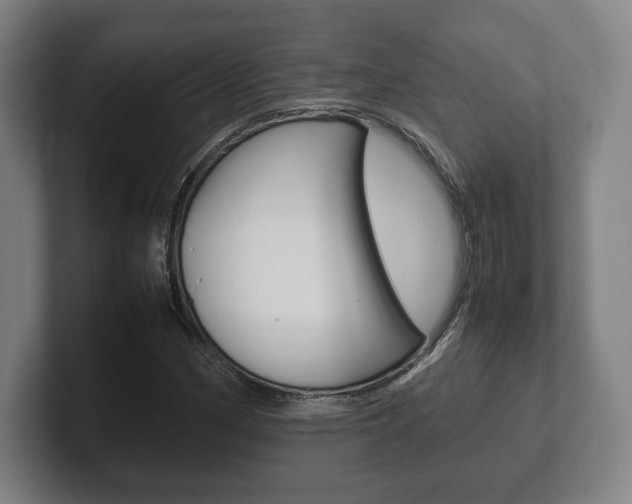 X0000102261162200807250832