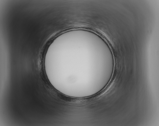 X0000102261163200807250832