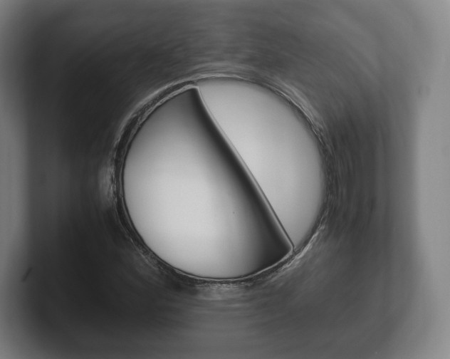 X0000102261164200807250832