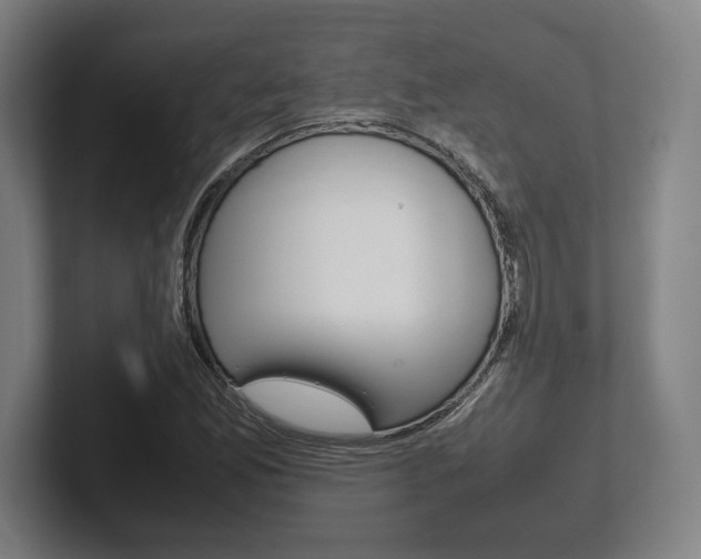 X0000102261165200807250832