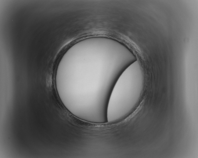 X0000102261166200807250832