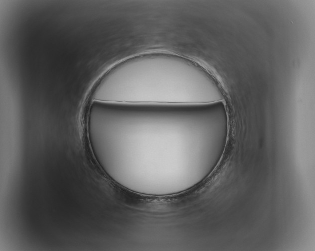 X0000102261167200807250832