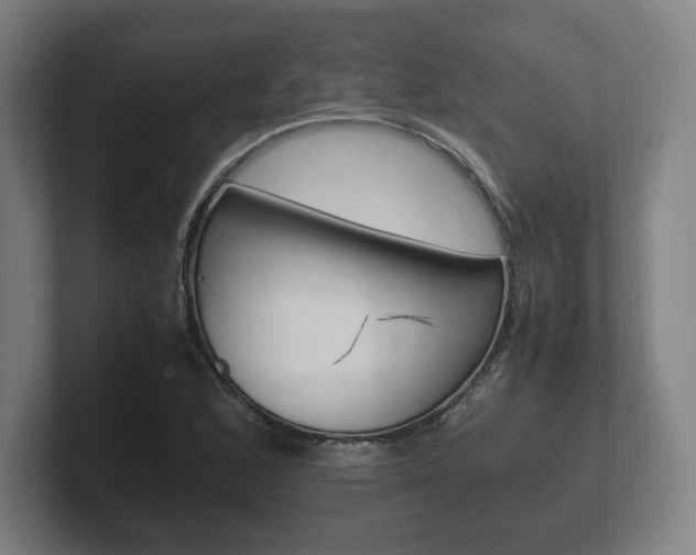 X0000102261168200807250832