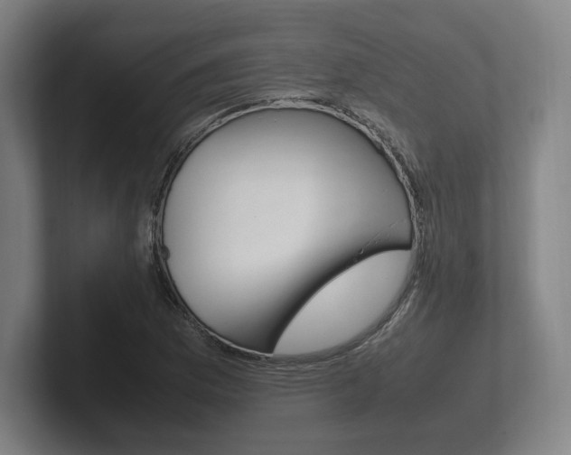 X0000102261169200807250832