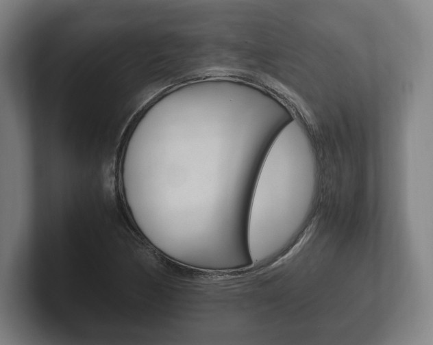 X0000102261170200807250832