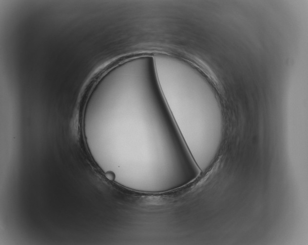 X0000102261172200807250832