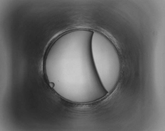 X0000102261174200807250832
