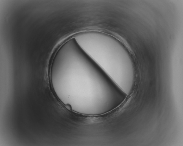 X0000102261176200807250832