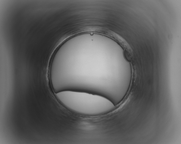 X0000102261178200807250832