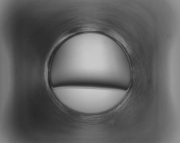 X0000102261179200807250832