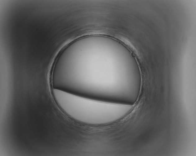 X0000102261181200807250832