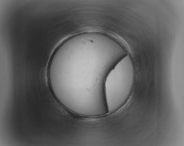 X0000102261182200807250831