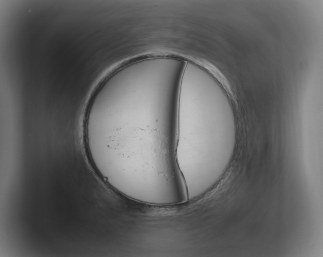 X0000102261183200807250831