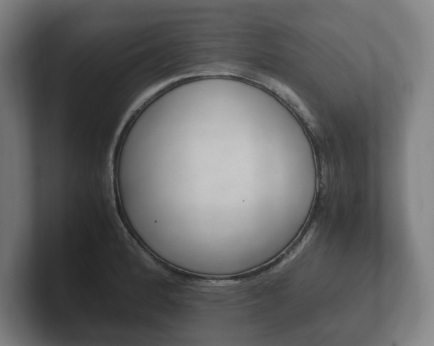 X0000102261184200807250831