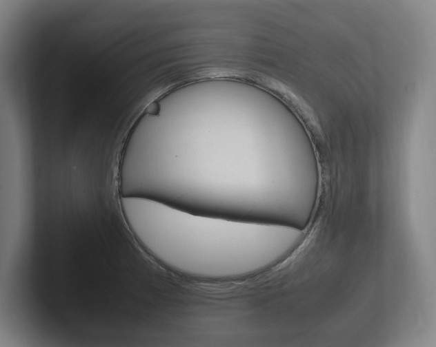 X0000102261185200807250831