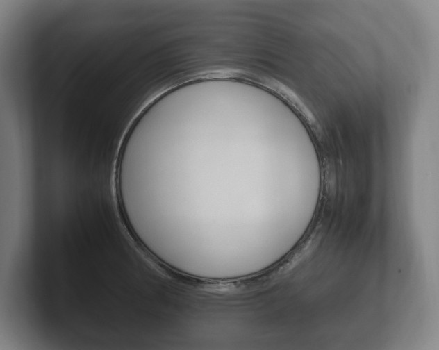 X0000102261186200807250831