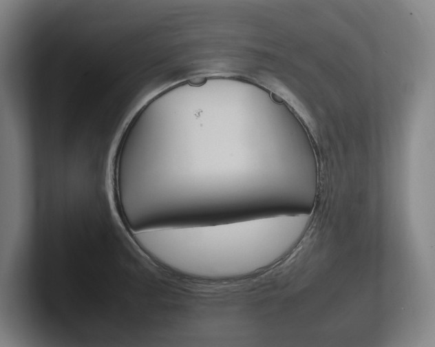X0000102261187200807250831