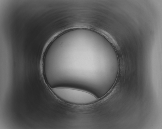 X0000102261188200807250831
