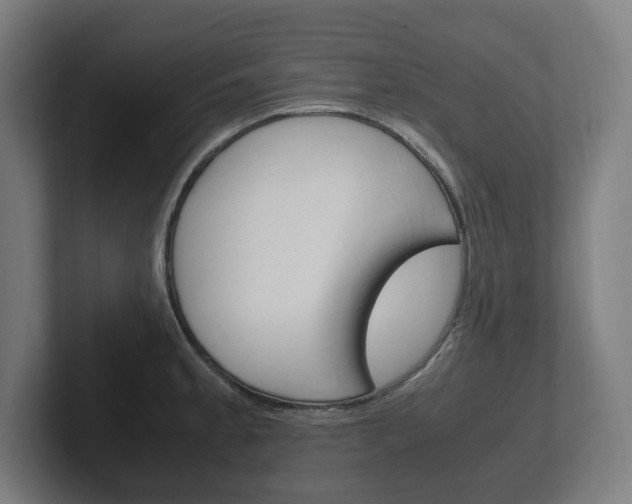 X0000102261189200807250831