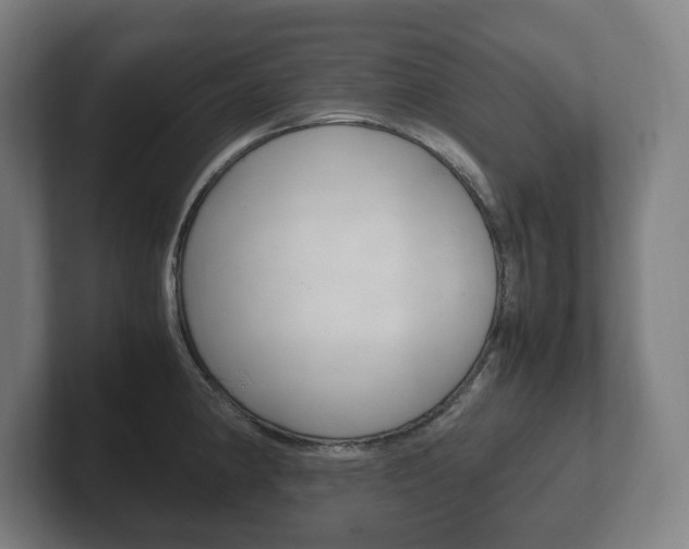 X0000102261190200807250831