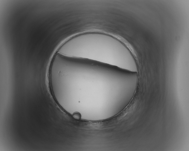 X0000102261191200807250831
