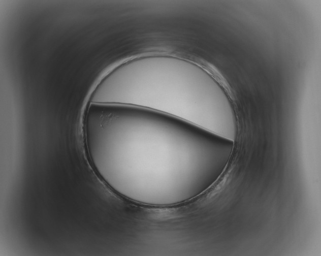 X0000102261192200807250831