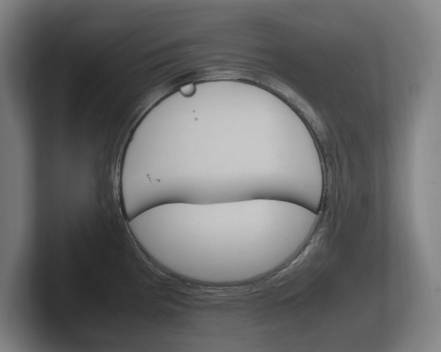 X0000102261193200807250831