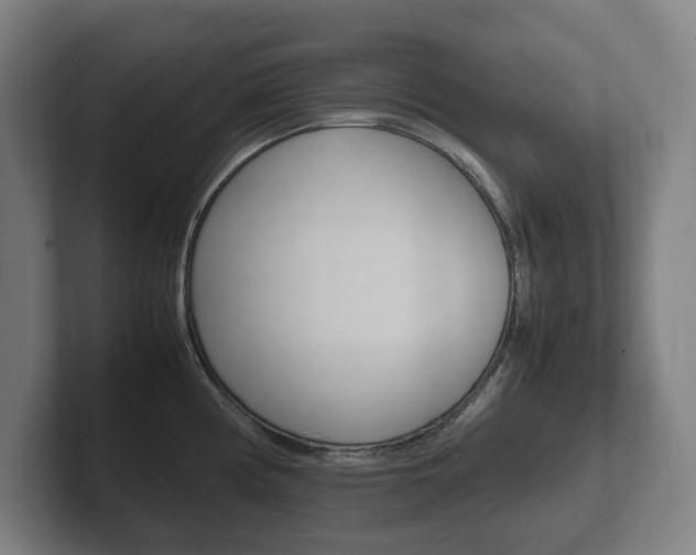 X0000102261194200807250831