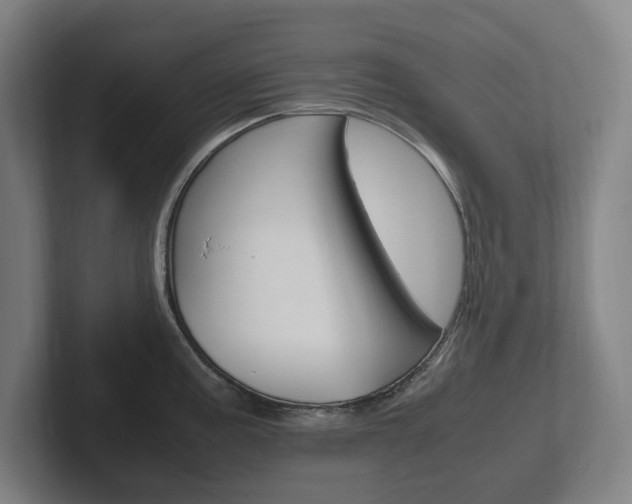 X0000102261195200807250831