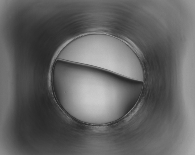 X0000102261196200807250831