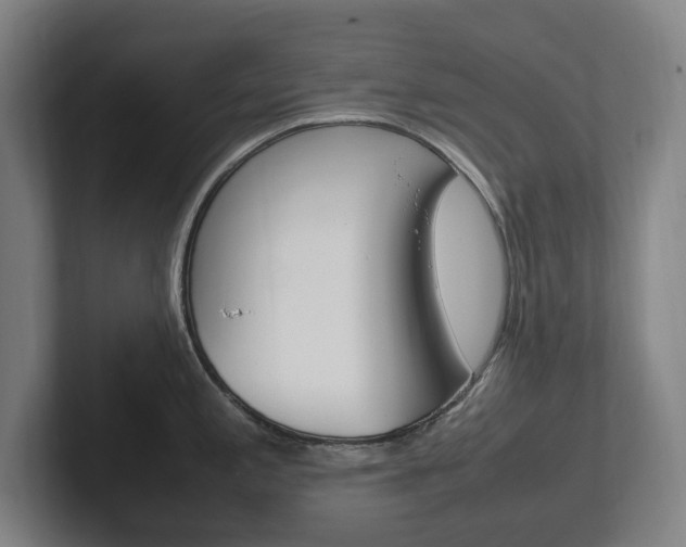 X0000102261197200807250831