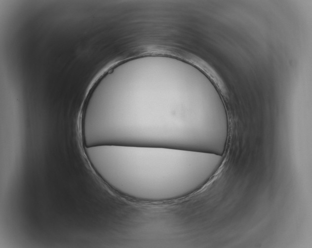 X0000102261198200807250831