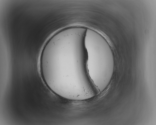 X0000102261199200807250831