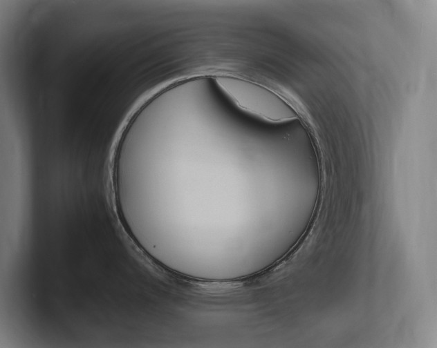X0000102261200200807250831