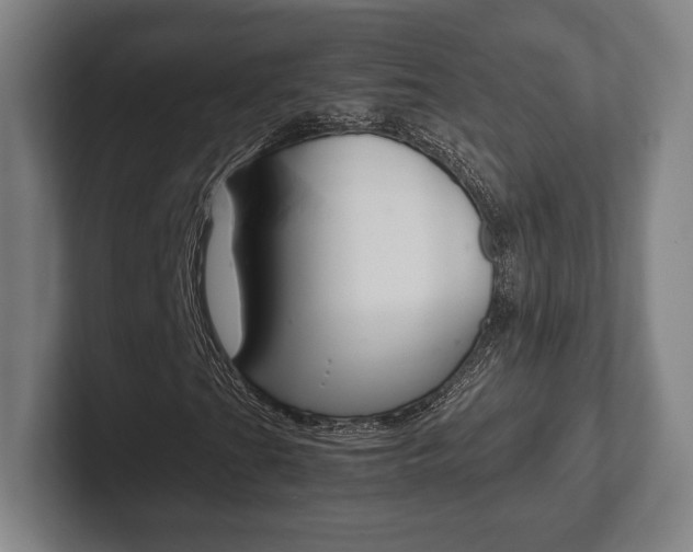 X0000102261201200807250831