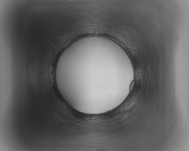 X0000102261202200807250831