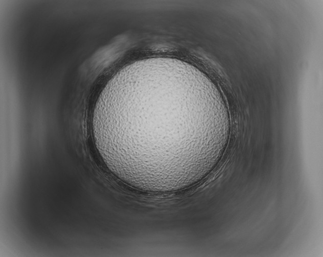 X0000102261205200807250831