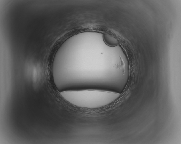 X0000102261206200807250831