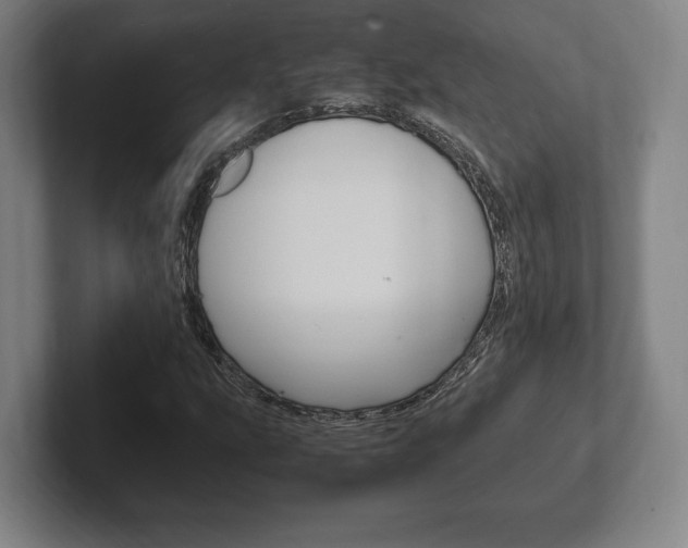 X0000102261207200807250831