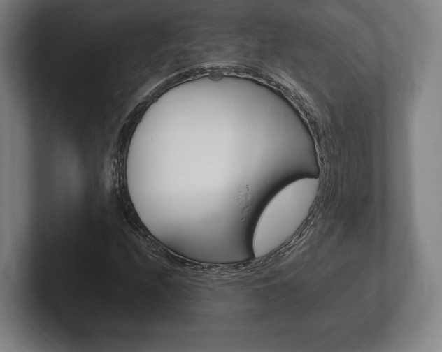 X0000102261208200807250831