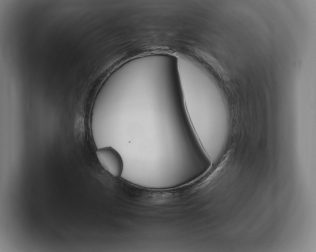 X0000102261209200807250831