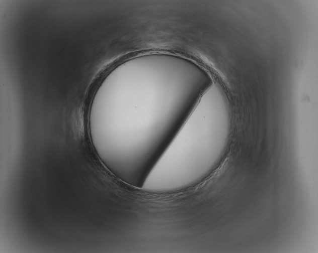 X0000102261214200807250831