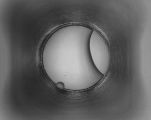 X0000102261215200807250831