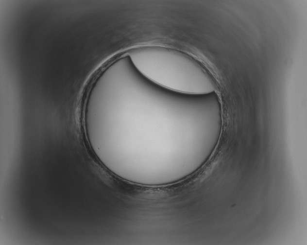X0000102261216200807250831