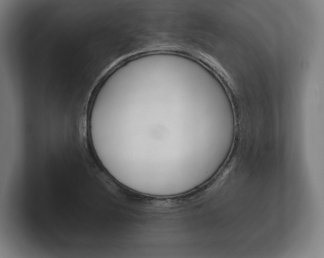 X0000102261220200807250831