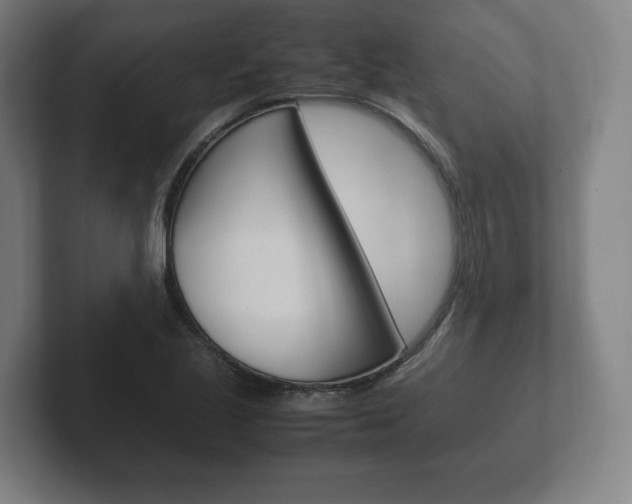 X0000102261221200807250831